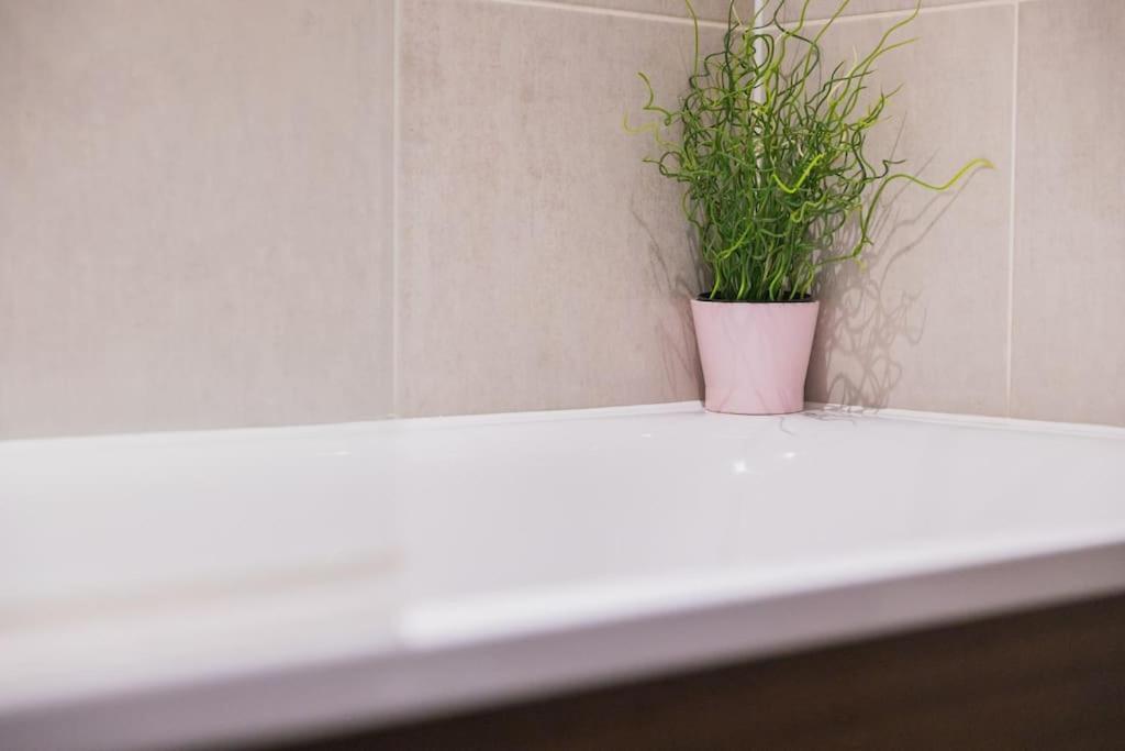 Cosy City Centre Apartment With Parking เบอร์มิงแฮม ภายนอก รูปภาพ