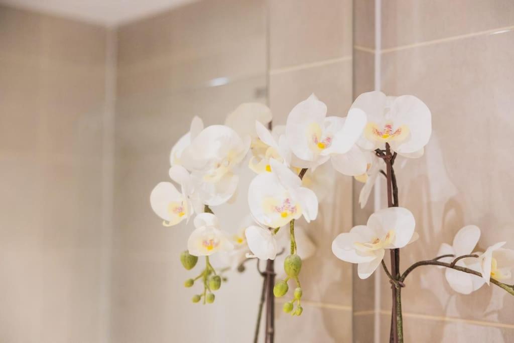 Cosy City Centre Apartment With Parking เบอร์มิงแฮม ภายนอก รูปภาพ